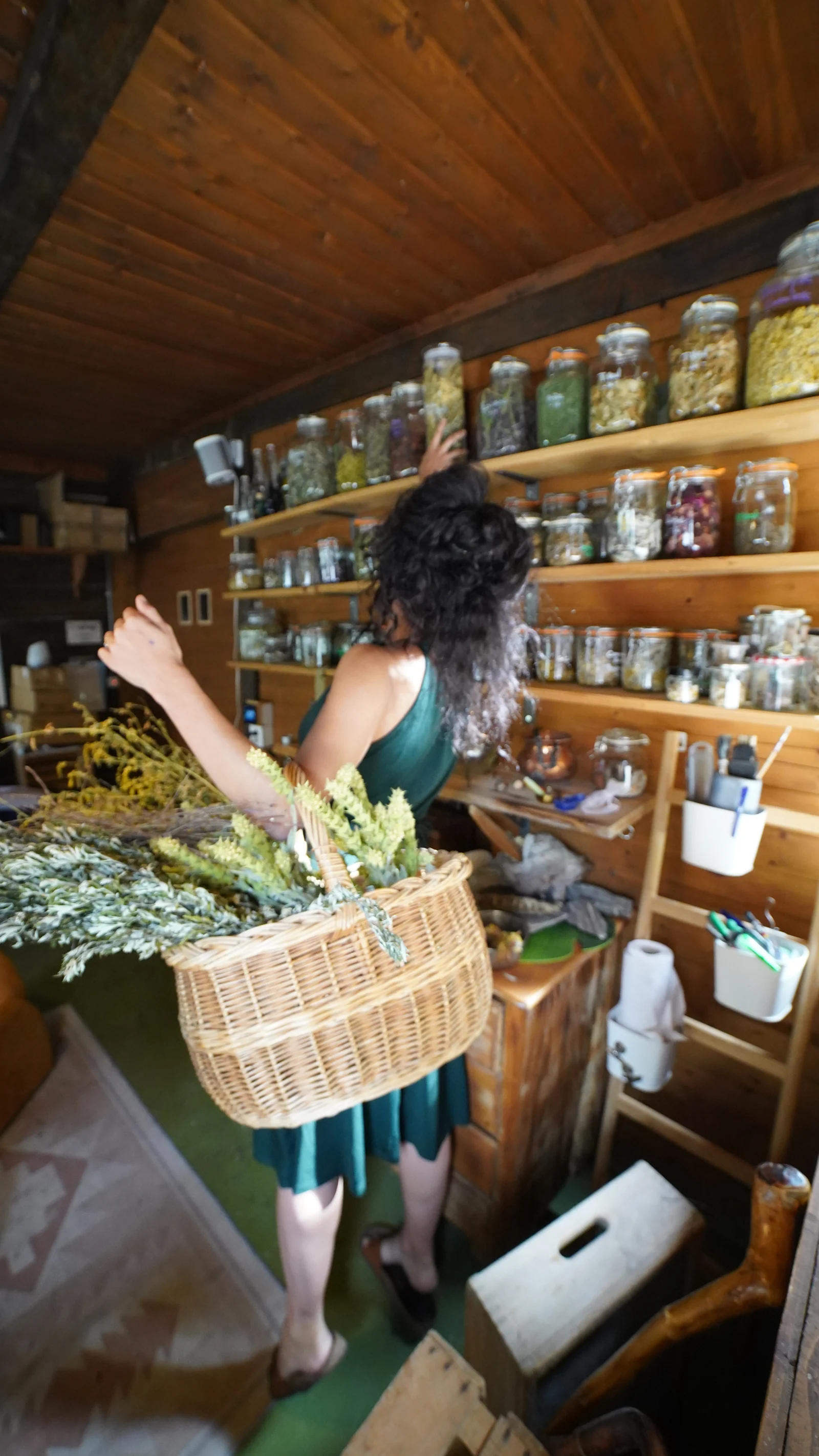 Ju dans son atelier d'herboristerie